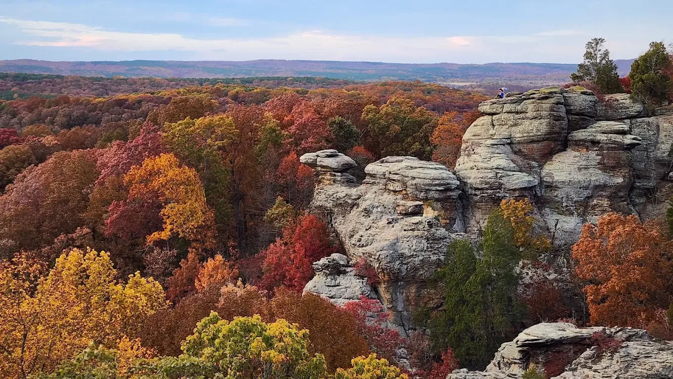 Tell Gov. Pritzker to defend our forests